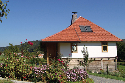 Porodična kuća Dropić, Tojšići